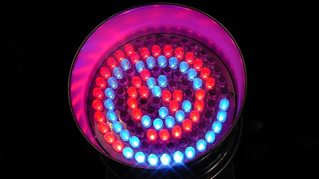 led světla